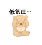 育児で使える赤ちゃんウォンバットの日常（個別スタンプ：19）
