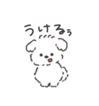 マルチーズのようないぬ（個別スタンプ：19）