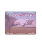 可愛い子猫の日常-7（個別スタンプ：6）