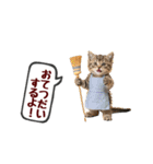 可愛い子猫の日常-7（個別スタンプ：7）