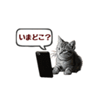 可愛い子猫の日常-7（個別スタンプ：10）