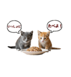 可愛い子猫の日常-7（個別スタンプ：12）
