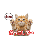 可愛い子猫の日常-7（個別スタンプ：16）