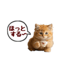 可愛い子猫の日常-7（個別スタンプ：19）