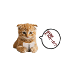 可愛い子猫の日常-7（個別スタンプ：21）