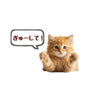 可愛い子猫の日常-7（個別スタンプ：24）