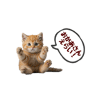 可愛い子猫の日常-7（個別スタンプ：25）