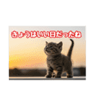 可愛い子猫の日常-7（個別スタンプ：28）