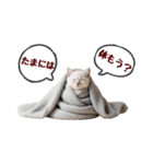 可愛い子猫の日常-7（個別スタンプ：30）