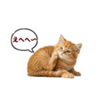 可愛い子猫の日常-7（個別スタンプ：31）