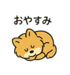 ポメラニアン×チワワ(ポメチワ)スタンプ（個別スタンプ：2）