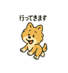 ポメラニアン×チワワ(ポメチワ)スタンプ（個別スタンプ：3）