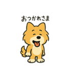 ポメラニアン×チワワ(ポメチワ)スタンプ（個別スタンプ：4）