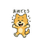 ポメラニアン×チワワ(ポメチワ)スタンプ（個別スタンプ：5）