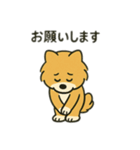 ポメラニアン×チワワ(ポメチワ)スタンプ（個別スタンプ：6）
