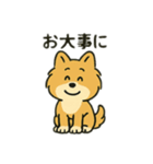 ポメラニアン×チワワ(ポメチワ)スタンプ（個別スタンプ：7）