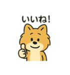 ポメラニアン×チワワ(ポメチワ)スタンプ（個別スタンプ：8）