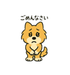 ポメラニアン×チワワ(ポメチワ)スタンプ（個別スタンプ：11）