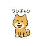 ポメラニアン×チワワ(ポメチワ)スタンプ（個別スタンプ：21）