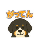 バーニーズ、まさかのセリフで感情表現（個別スタンプ：2）