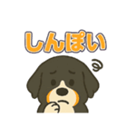バーニーズ、まさかのセリフで感情表現（個別スタンプ：12）