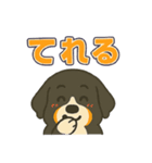 バーニーズ、まさかのセリフで感情表現（個別スタンプ：14）