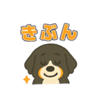 バーニーズ、まさかのセリフで感情表現（個別スタンプ：17）