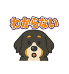 バーニーズ、まさかのセリフで感情表現（個別スタンプ：21）