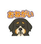 バーニーズ、まさかのセリフで感情表現（個別スタンプ：22）