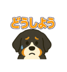 バーニーズ、まさかのセリフで感情表現（個別スタンプ：26）