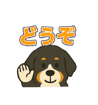バーニーズ、まさかのセリフで感情表現（個別スタンプ：29）