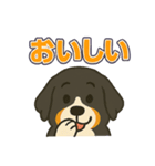 バーニーズ、まさかのセリフで感情表現（個別スタンプ：31）