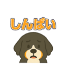 バーニーズ、まさかのセリフで感情表現（個別スタンプ：34）