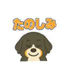 バーニーズ、まさかのセリフで感情表現（個別スタンプ：37）