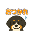 バーニーズ、まさかのセリフで感情表現（個別スタンプ：38）