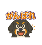 バーニーズ、まさかのセリフで感情表現（個別スタンプ：39）