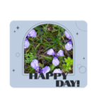 Myflawergarden18（個別スタンプ：2）
