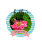 Myflawergarden18（個別スタンプ：4）