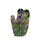 Myflawergarden18（個別スタンプ：8）