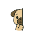 色んな表情するパグ（個別スタンプ：3）