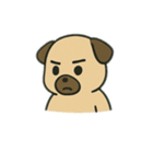 色んな表情するパグ（個別スタンプ：5）