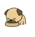 色んな表情するパグ（個別スタンプ：7）