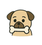 色んな表情するパグ（個別スタンプ：8）