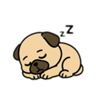 色んな表情するパグ（個別スタンプ：12）