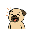 色んな表情するパグ（個別スタンプ：13）