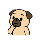 色んな表情するパグ（個別スタンプ：21）