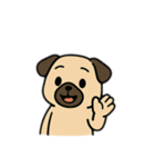 色んな表情するパグ（個別スタンプ：24）