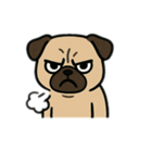 色んな表情するパグ（個別スタンプ：27）