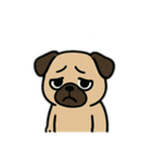 色んな表情するパグ（個別スタンプ：32）