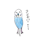 青いセキセイインコと白い文鳥（個別スタンプ：3）